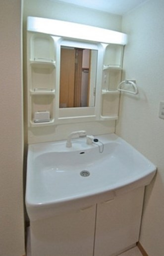 ルミエール和田の洗面所