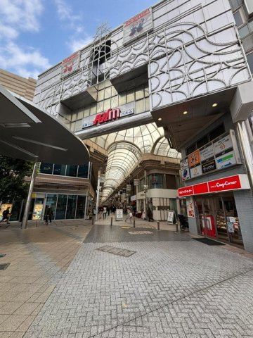 【周辺】 | 武蔵小山駅4分なのに落ち着いた住環境・・・建物ボリュームが取れる邸宅用地 | パルム商店街まで500ｍ