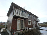 Carinopenseeの画像