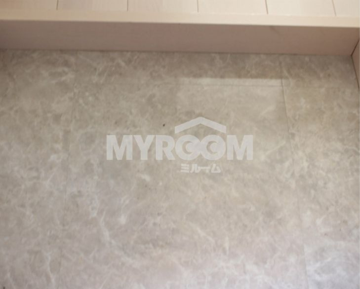 ハーモニーテラス和田Ⅱの玄関|玄関（同一仕様写真）