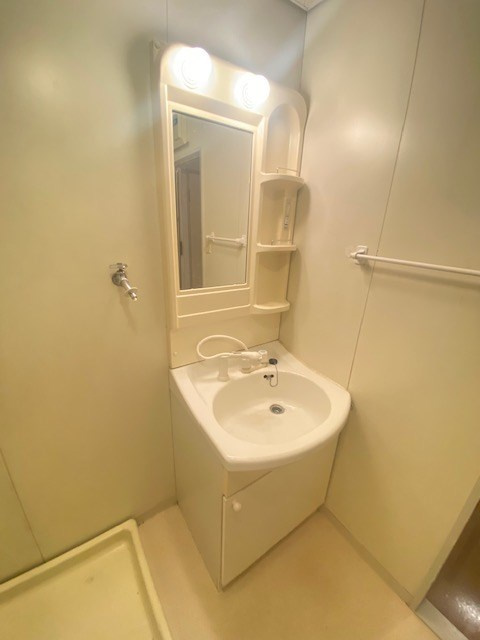 ハイム屋敷本の洗面所