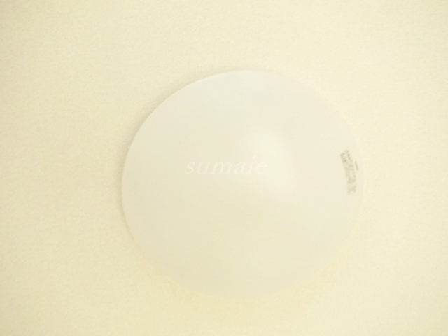 パレシュクルの設備|照明です☆