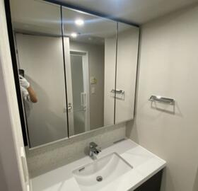 ザ・パークハビオ明大前の独立洗面台