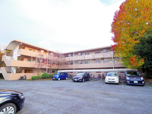 マグノリア千川(マグノリアセンカワ)の外観