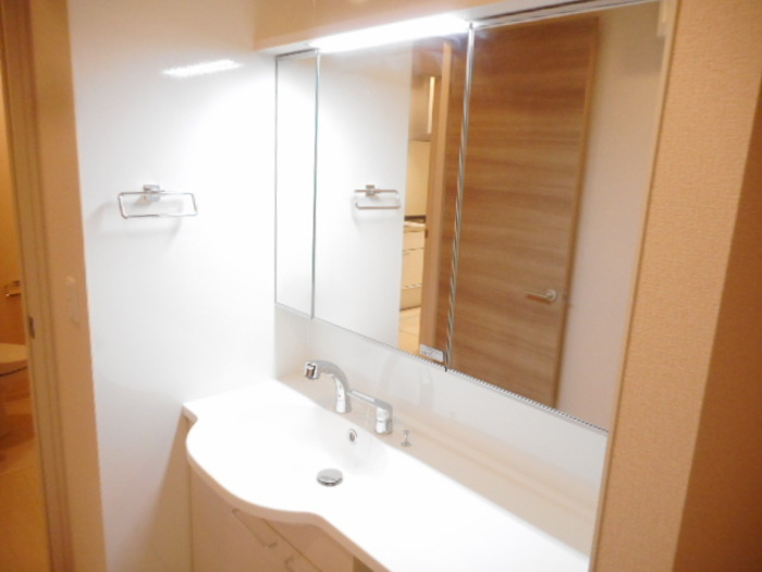 カーサ・ボニータの洗面所