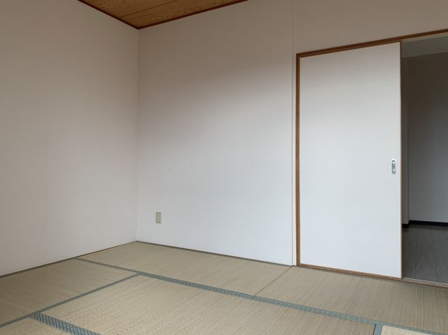 グリーンハウスの内装
