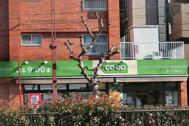 カーサシンセラーの周辺