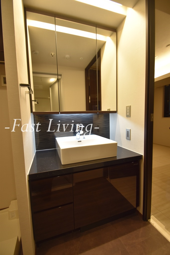 ブランシエスタ飯田橋の洗面所