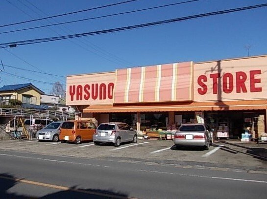 メゾングリーンヒルの周辺|安野ストアーまで470m