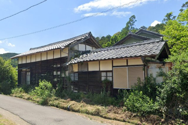 土地　高木