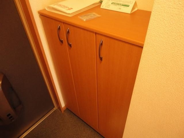 T・Yハイツ二号の玄関