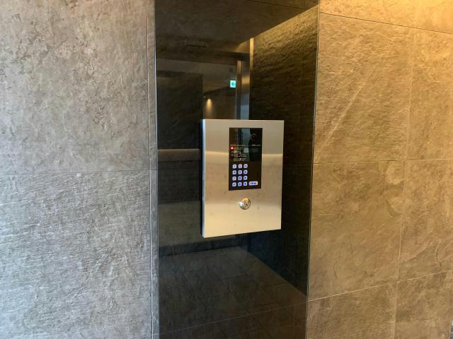 熊本市中央区新大江１丁目の賃貸マンションのエントランス