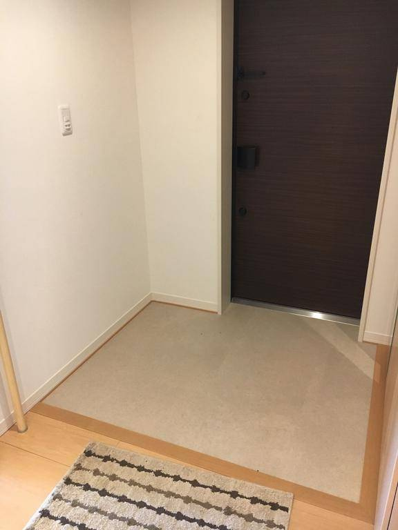 熊本市中央区新大江１丁目の賃貸マンションの玄関