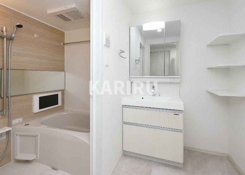 プレジオ城北の洗面所