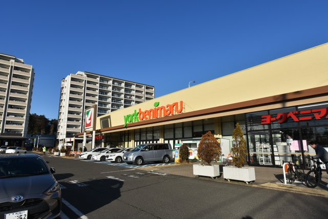 Ｌ・フォレスト東仙台の周辺