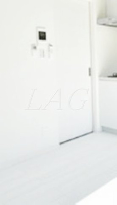 【セキュリティ】 | ヴィスタ北品川 | モニター付きインターホンです。