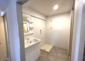 カーサシンエイの洗面所