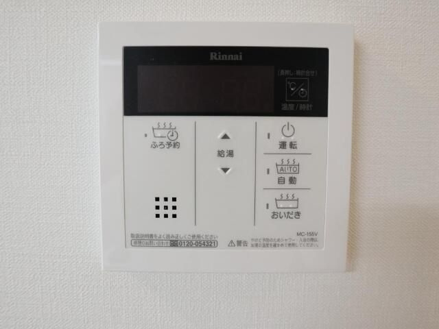 サランコートのその他