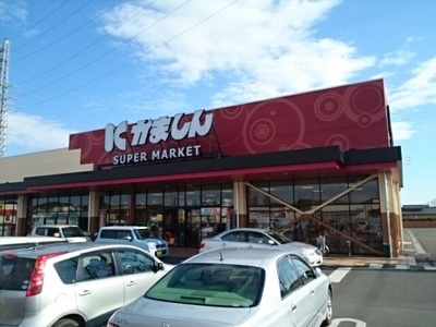 【周辺】 | ファミリーハウス小平 | かましん栃木平柳店まで850m