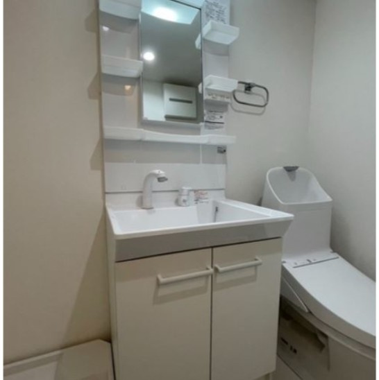 エスペランス平井の洗面所