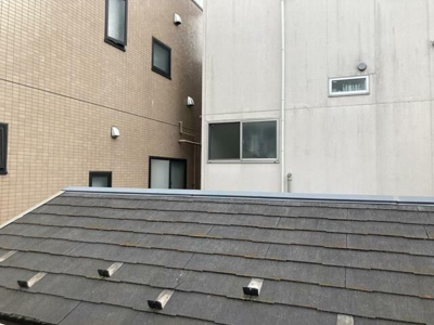 【展望】 | エル・オリヴァール