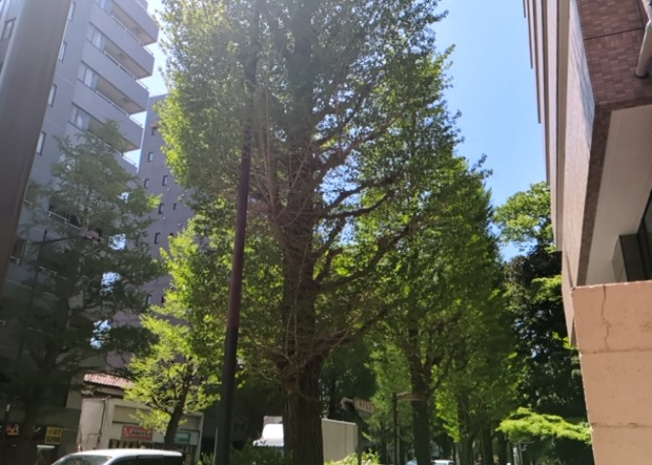 【展望】 | ライオンズマンション西八王子第二 | 眺望を気にして物件を探す場合、前面に建物が建っていないか現地で確認しましょう！前面に建物があると景色はもちろん、日当たりや風通しにも影響が出てきます。住んだ時のことを想像しながら現地見学をしましょう。