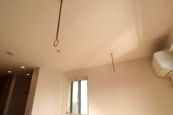 令和ハウス’21（レイワハウスニャンワン）のその他