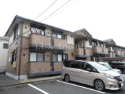 サザンクロスの画像