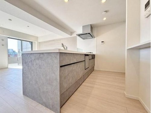 エクセルシオール新桜台のキッチン|作業スペースが広く、収納も豊富なシステムキッチン。家事効率も◎。