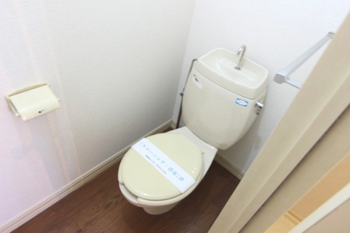 ハイム藤友Bのトイレ