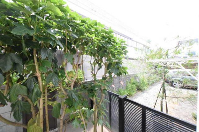 【展望】 | アビテサンパティック