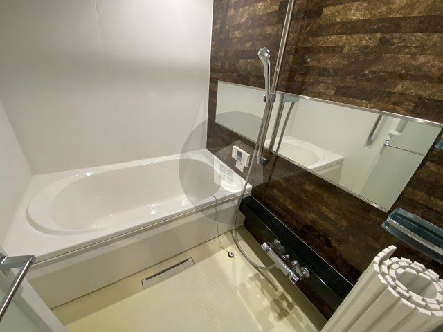 ミモザメゾン菱屋西の浴室