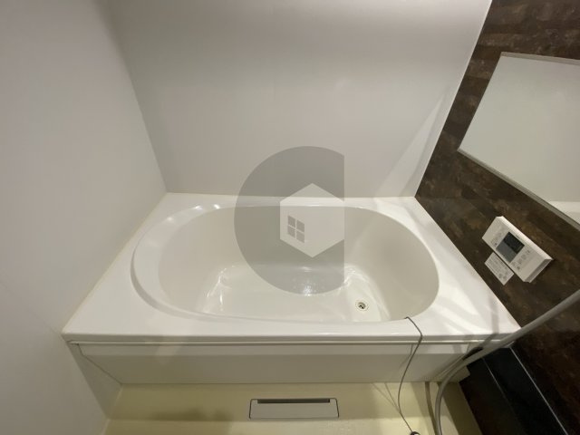 ミモザメゾン菱屋西の浴室