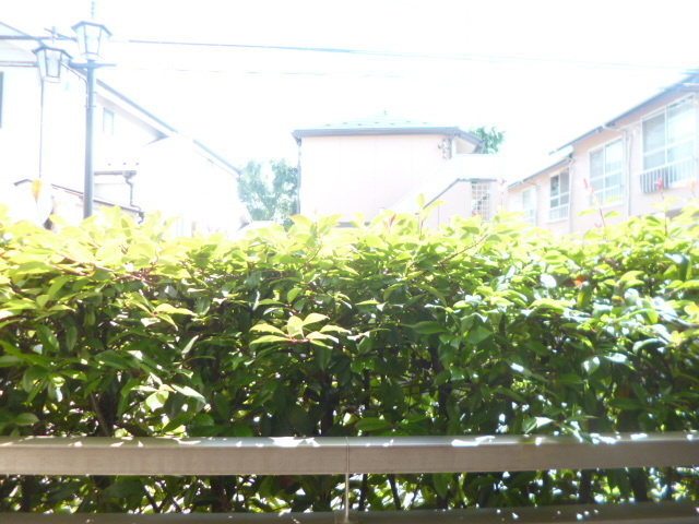 ミラージュ松庵の展望|南向きで陽あたり良好・人通りも植栽で気になりません