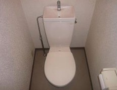 コートダジュールのトイレ