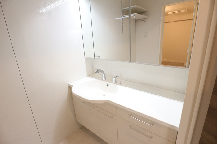 アネックスSagamiの洗面所