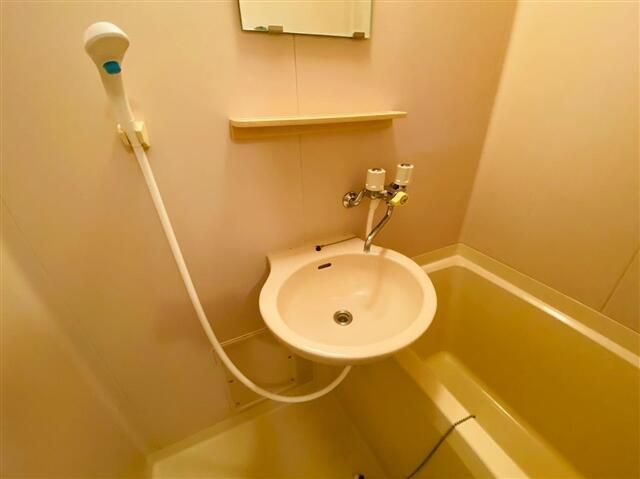 ベルトゥリーハイツの洗面所