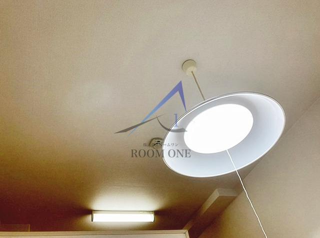 フェリスキッドのその他