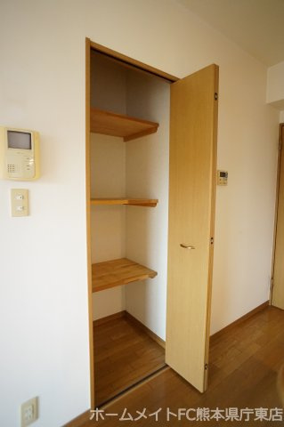 熊本市東区八反田１丁目の賃貸マンションの収納