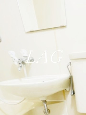 【洗面所】 | トップルーム新宿公園第２ | 洗面台です。