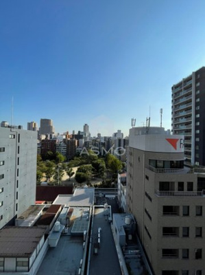 【展望】 | ブエナビスタ大手通