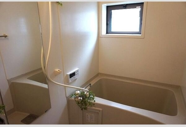 ドミール六条の浴室