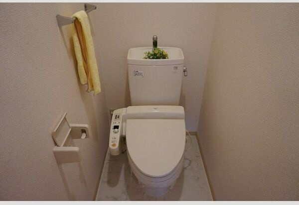 ドミール六条のトイレ