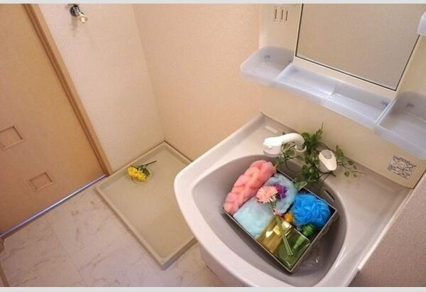 ドミール六条の洗面所