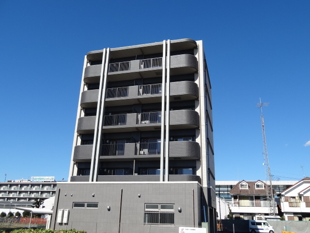 エムウッド　グラーツィア