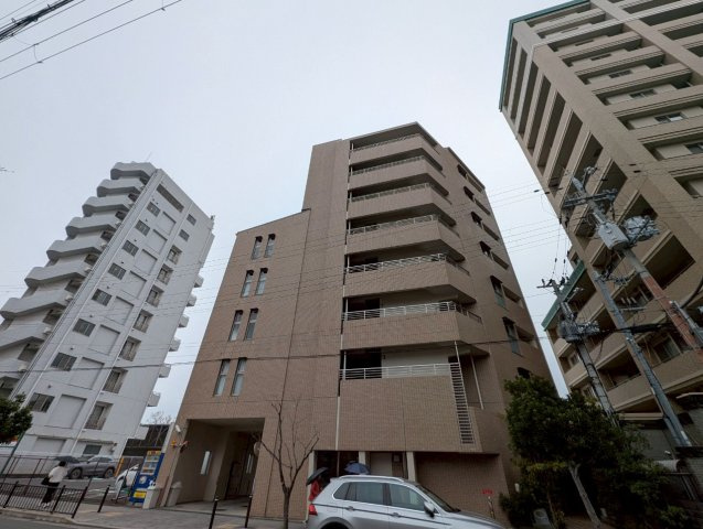 シェーンブルン羽鷹