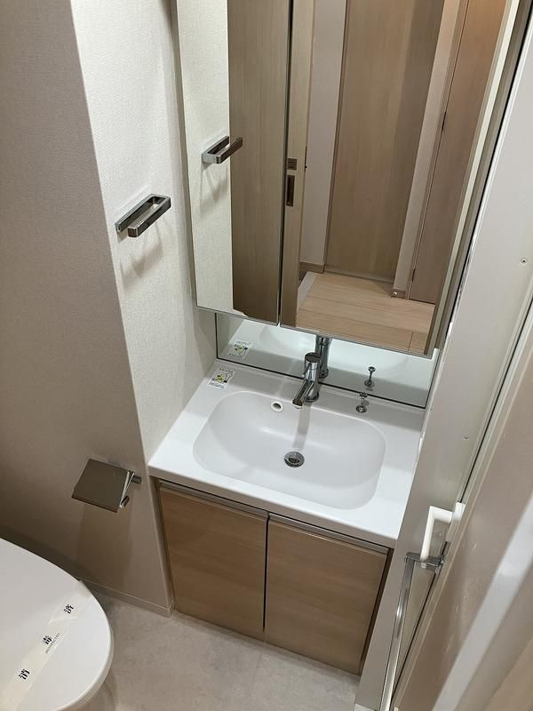 リアナスカイパーク押上の洗面所