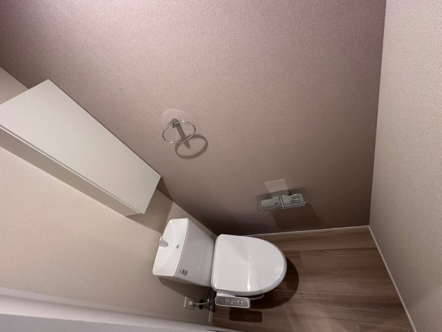 リエゾン奥雲城のトイレ