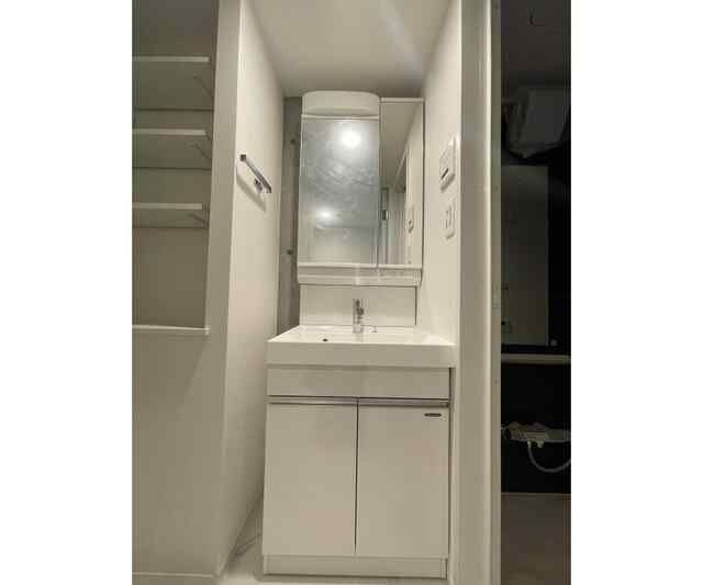 トライム両国の洗面所