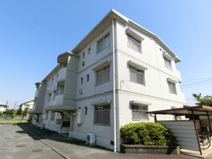 アイビーハイツの画像